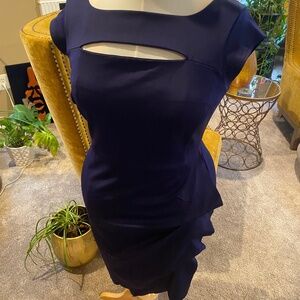 Lane Bryant Purple Keyhole Party Dress 14